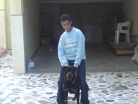 mon chien rot