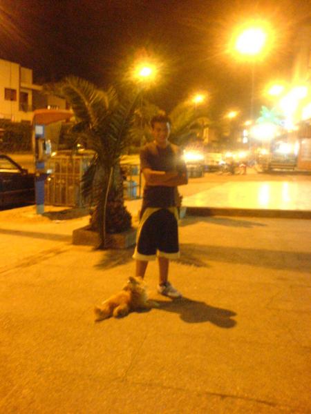 c mon ami anas
