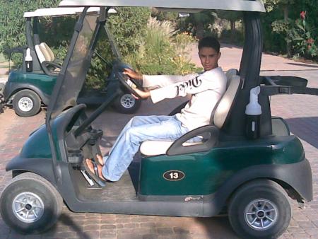 la voiture de golf palace